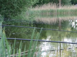 Competities HSV Alfheim